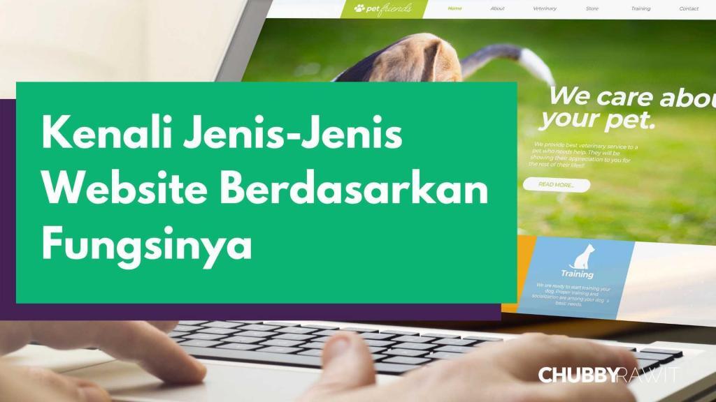 jenis-website