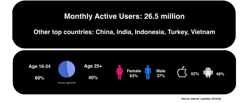 TikTok - Users